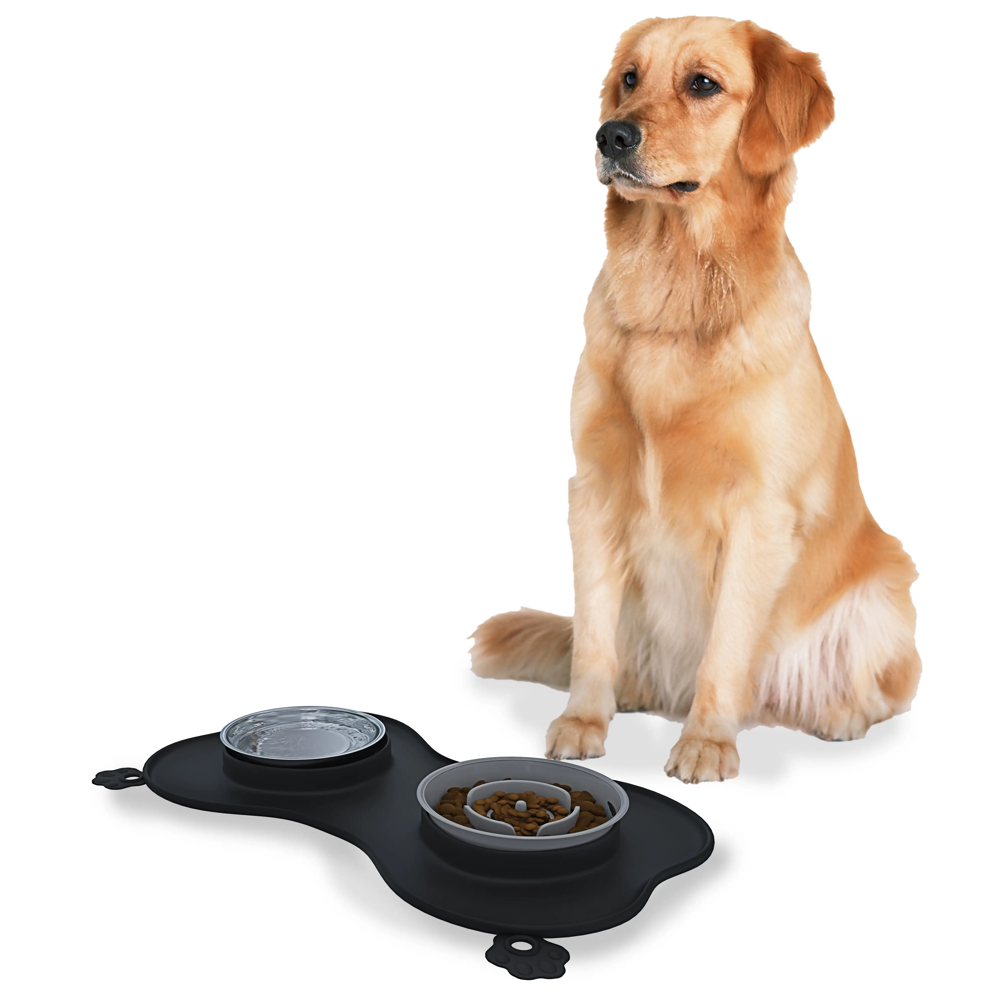 Ciotole Cani Gatti in Doppia Ciotola Acciaio Inox Croccantini Alimentazione Antingozzamento Tappetino Silicone Sottociotola Antiribaltamento Antiscivolo Ventose