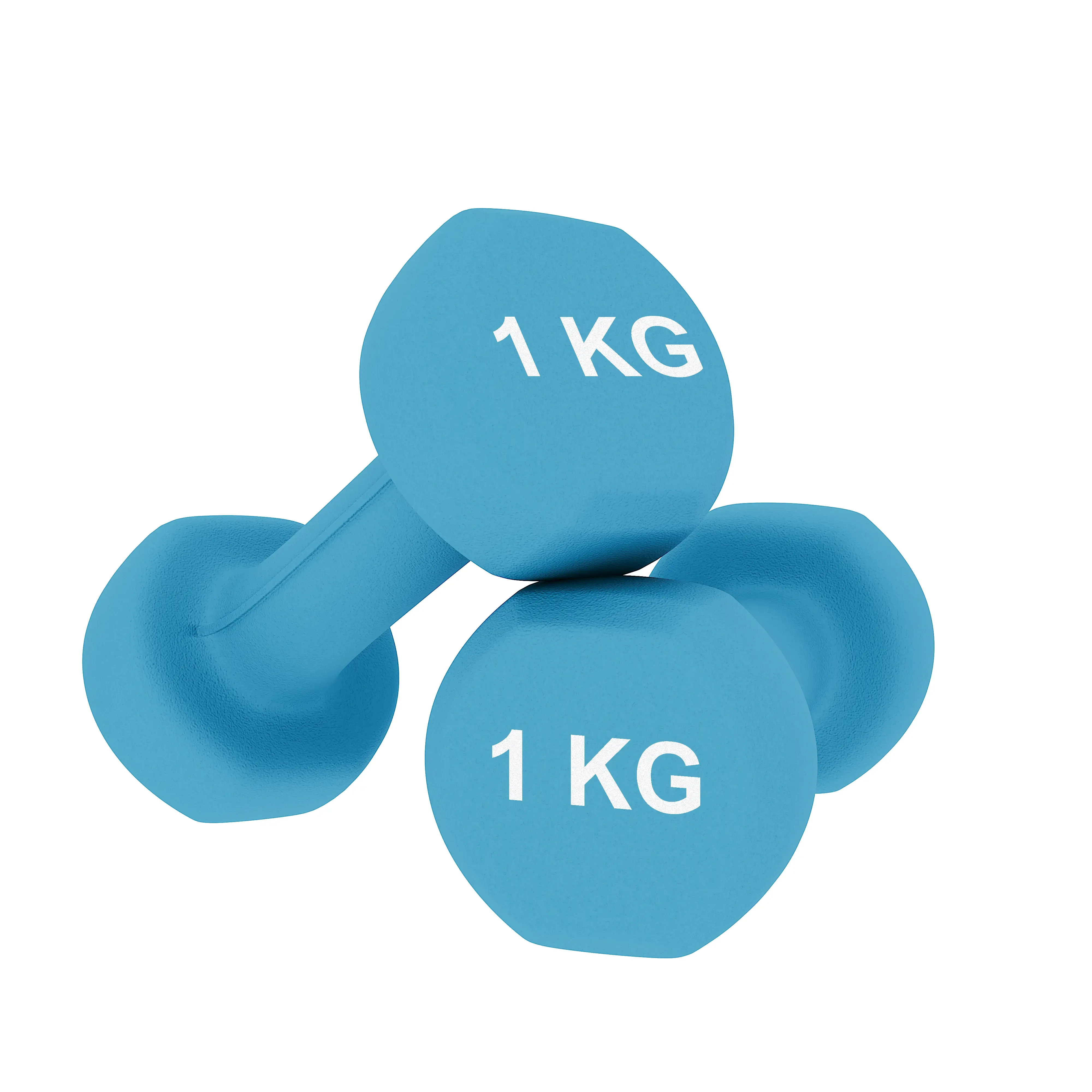 coppia-pesi-palestra-manubri-per-casa-fitness-manubrio-in-neoprene-pesetti-esagonali-impugnatura-antiscivolo-body-building-crossfit-aerobica-esercizi-ginnastica-2-x-1-kg-colore-azzurro-191231-1
