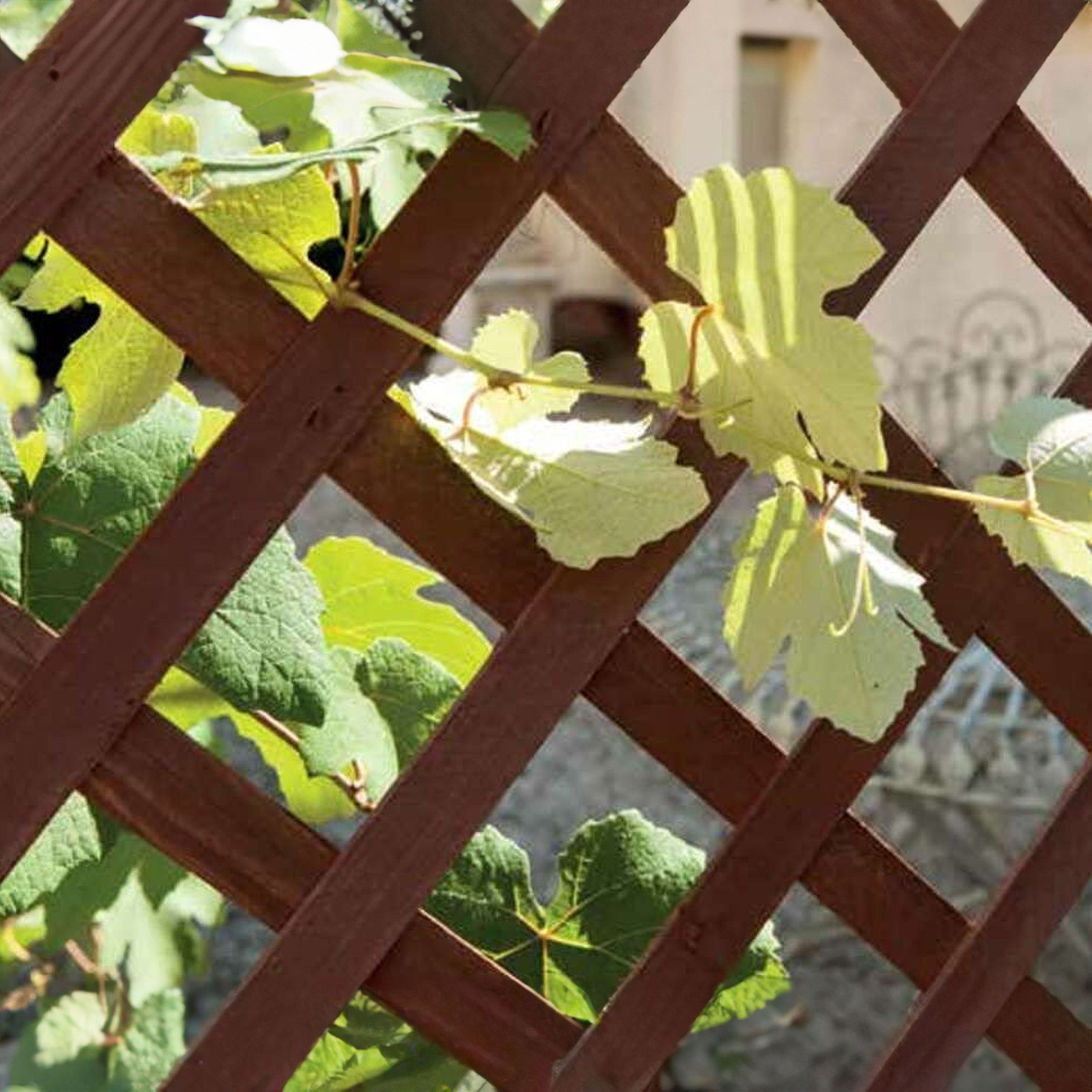 Griglia Pannello Estensibile Autoportante Balcone Giardino Terrazzo Piscina Privacy Decorazione Traliccio Pergolato Esterno