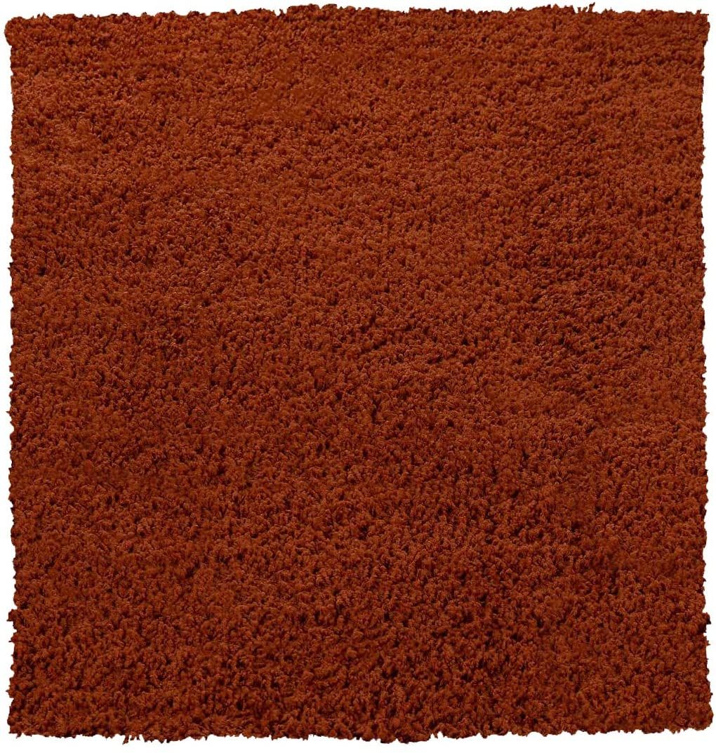 Tappeto Shaggy A Pelo Lungo Antiscivolo Moderno Per Salotto Camera Soggiorno In Diversi Colori E Misure, Colore Intenso e Brillante, 40 x 60 cm, Terracotta